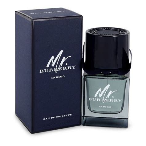 mr indigo burberry|mr Burberry indigo 50ml.